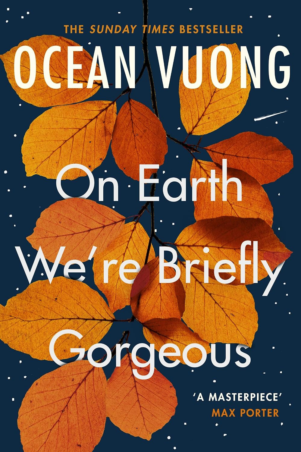 Ocean Vuong's "On Earth We're Briefly Gorgeous" powerfully addresses themes of family and inherited trauma.