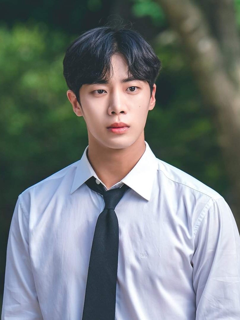 Choo Young-woo as Seoul veterinarian Han Ji-yul in Once Upon a Small Town