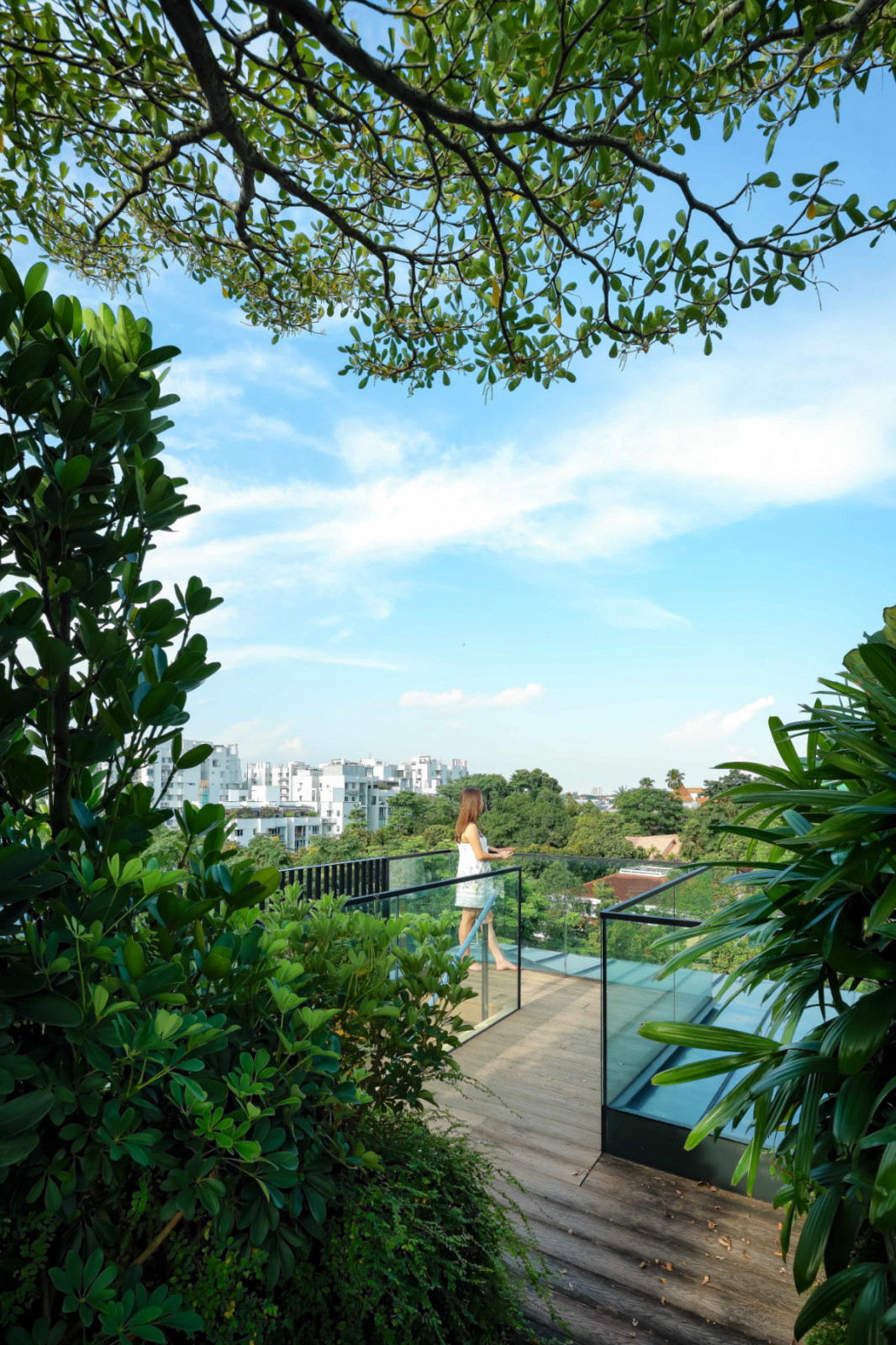 The rooftop deck is conceived as a garden in the sky, with dense planting framing expansive views across the surrounding neighbourhood