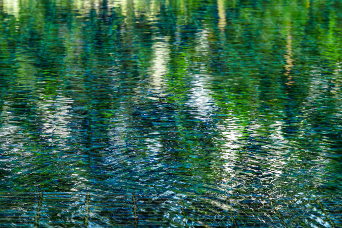 Reflections of the surrounding trees ripple across the pool, turning water into a painterly surface