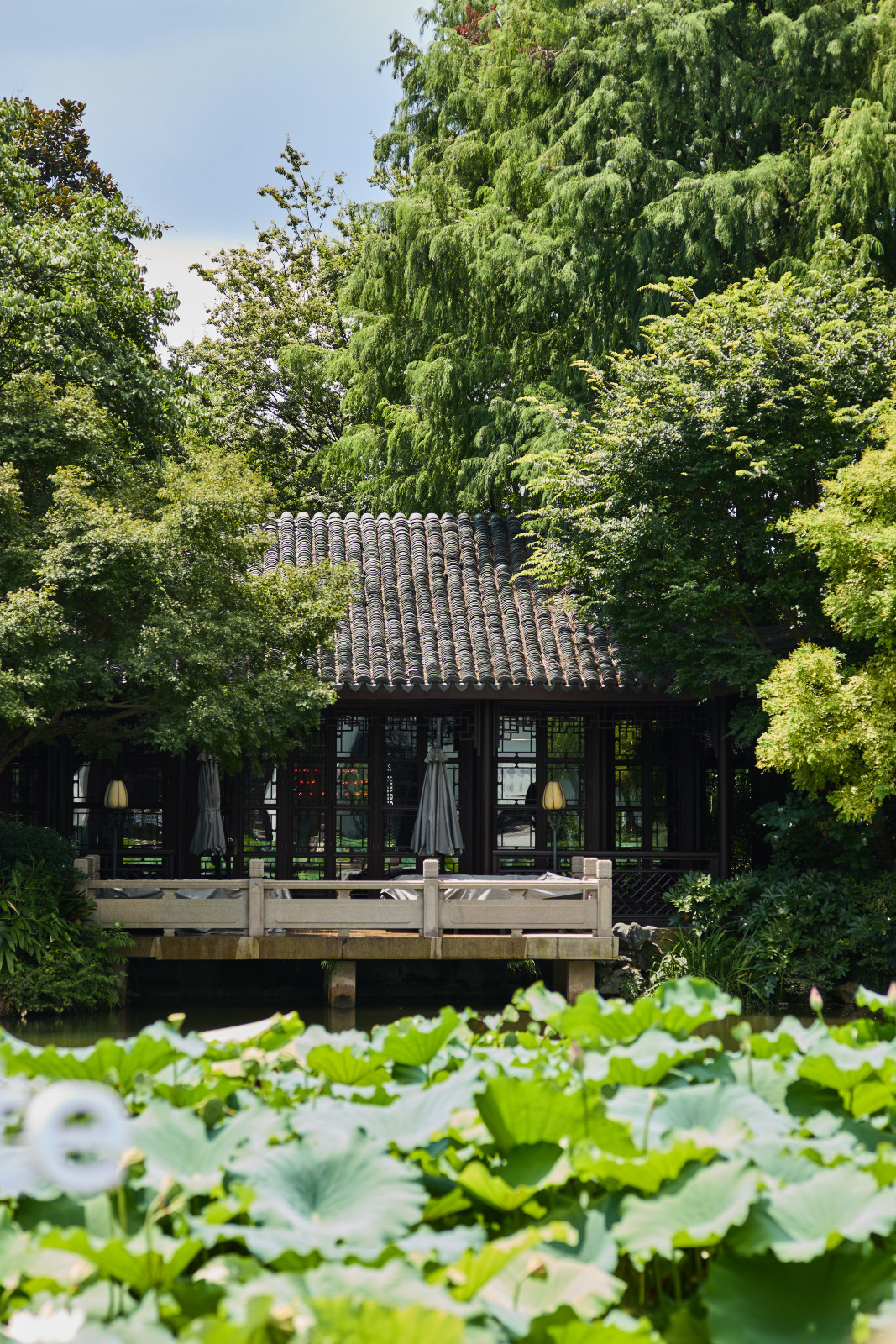 Jin Sha