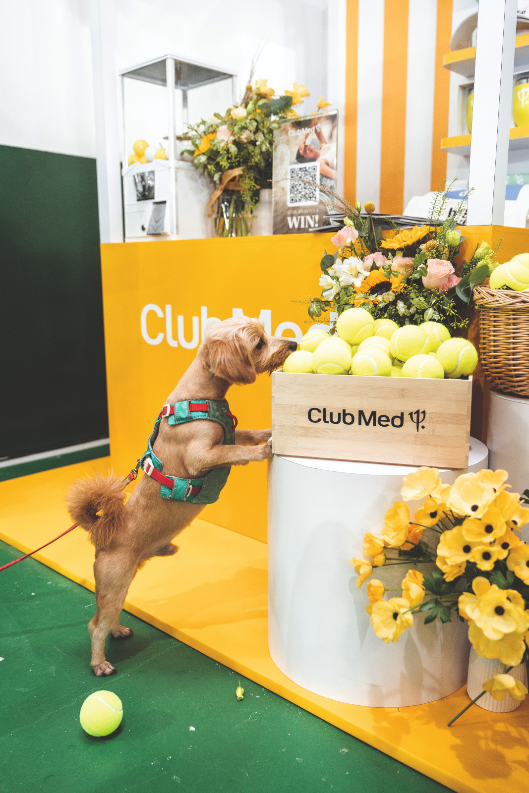 The Club Med booth