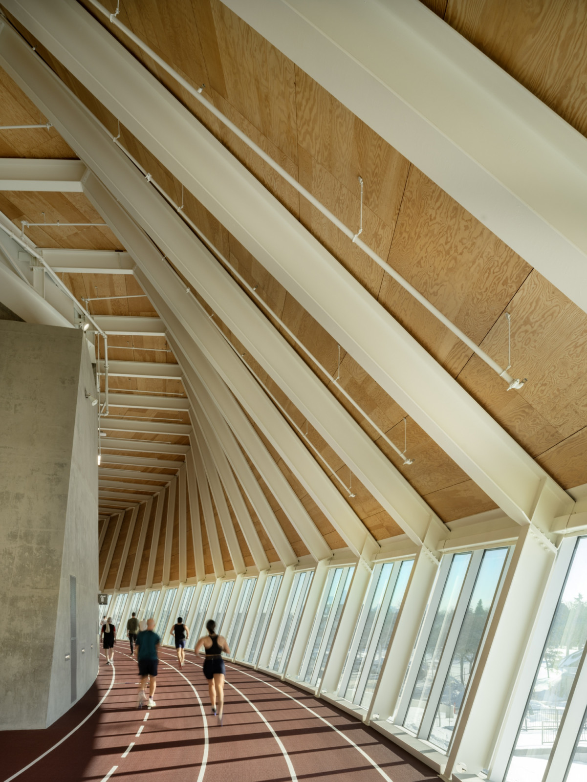 The running track circles the building beneath a timber-lined roof carried on white steel ribs, with floor-to-ceiling windows along its outer edge (Photo: Nic Lehoux)