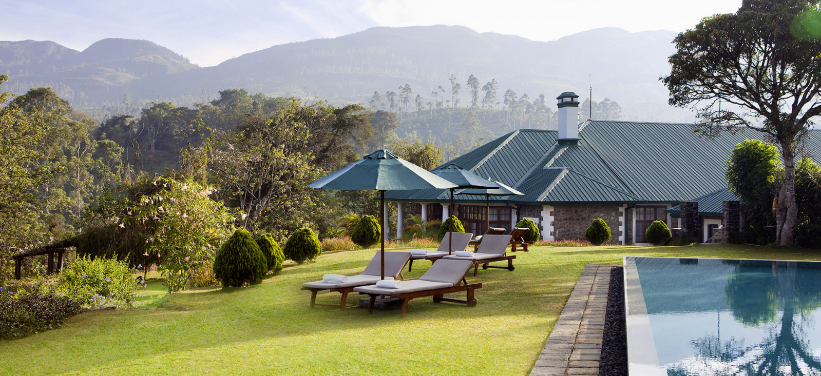 Ceylon Tea Trails