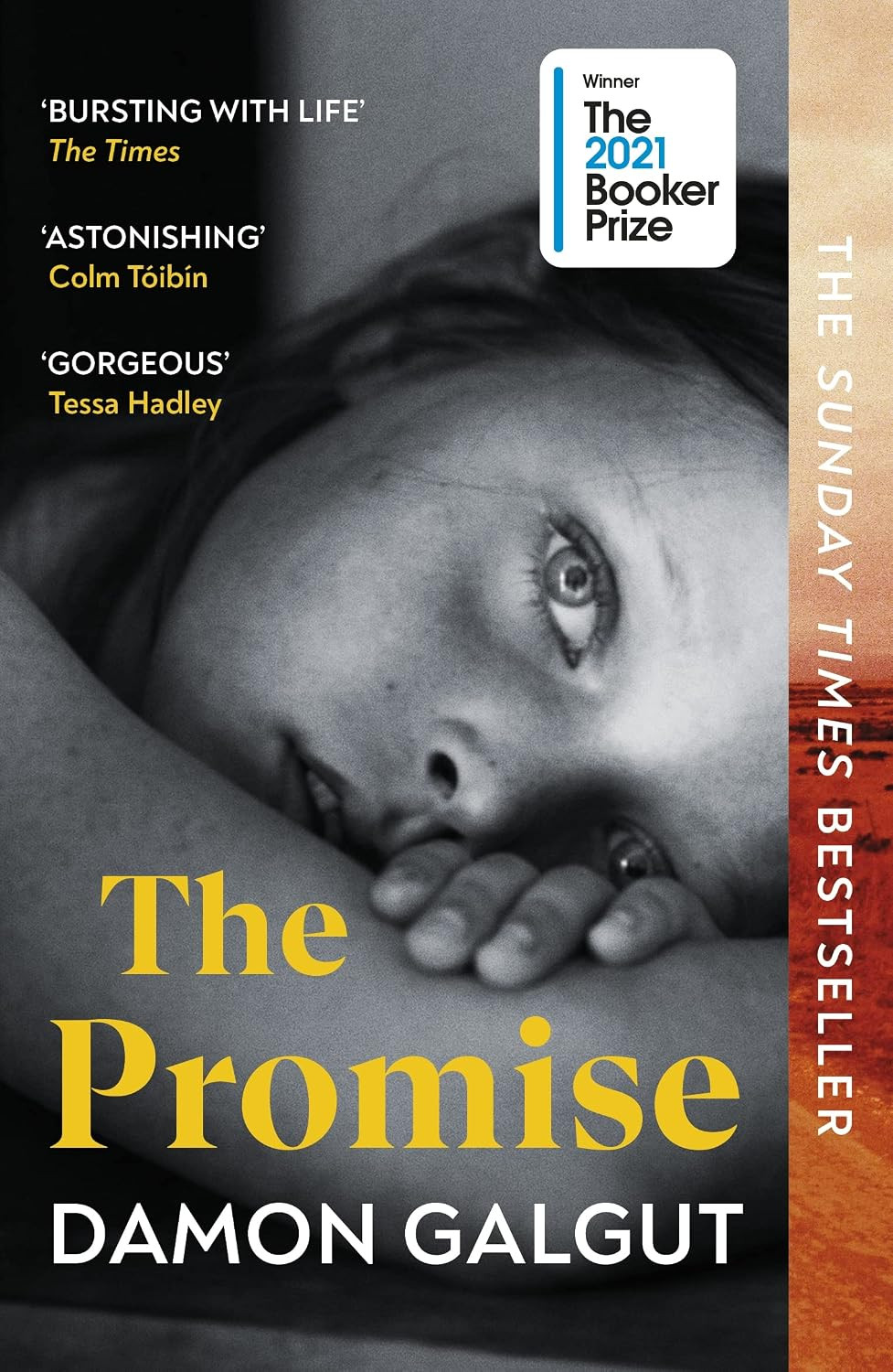 The Promise by Damon Galgut, winner of the 2021 Booker Prize.