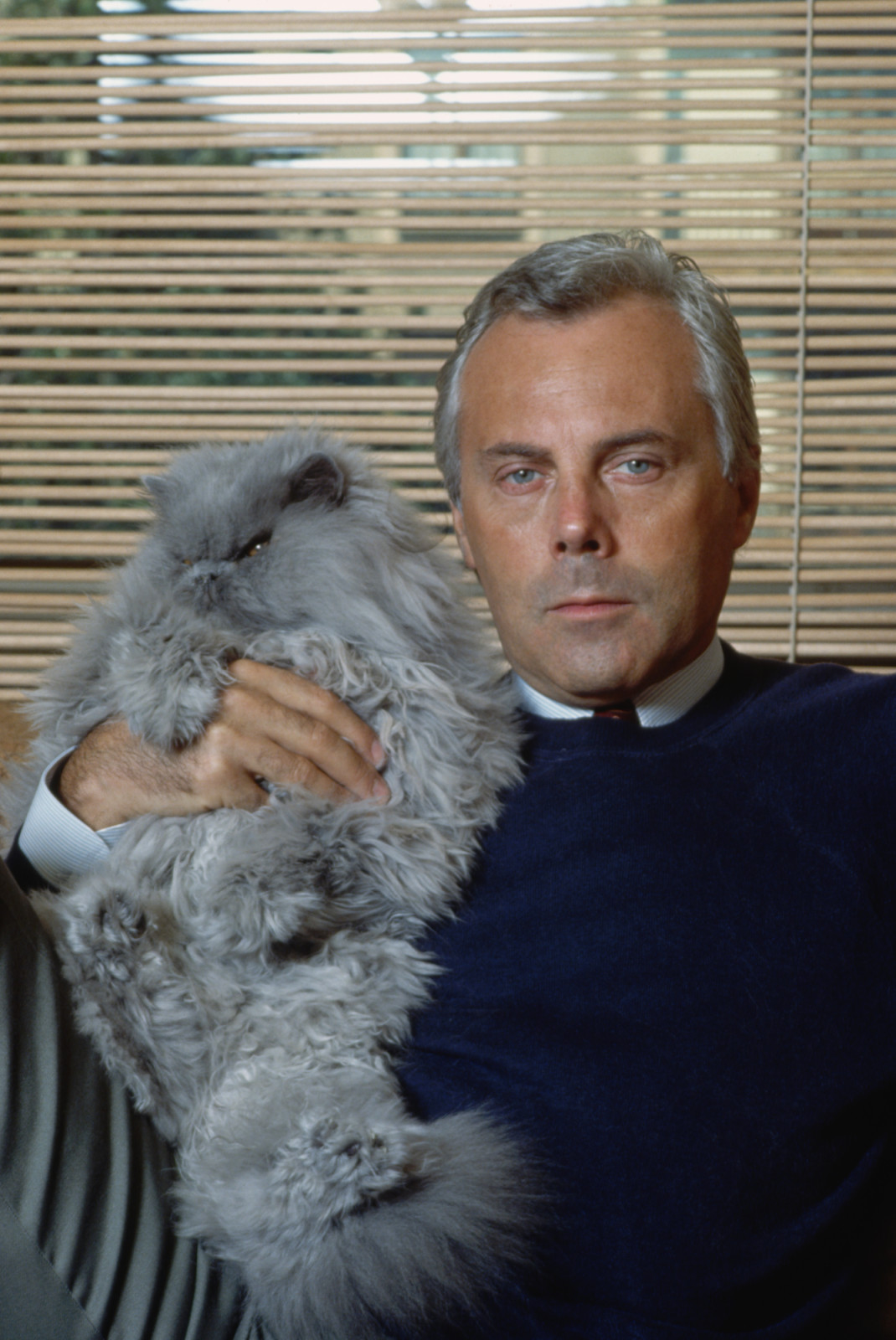 Giorgio Armani and Cat (Photo by �� Vittoriano Rastelli/CORBIS/Corbis via Getty Images)
